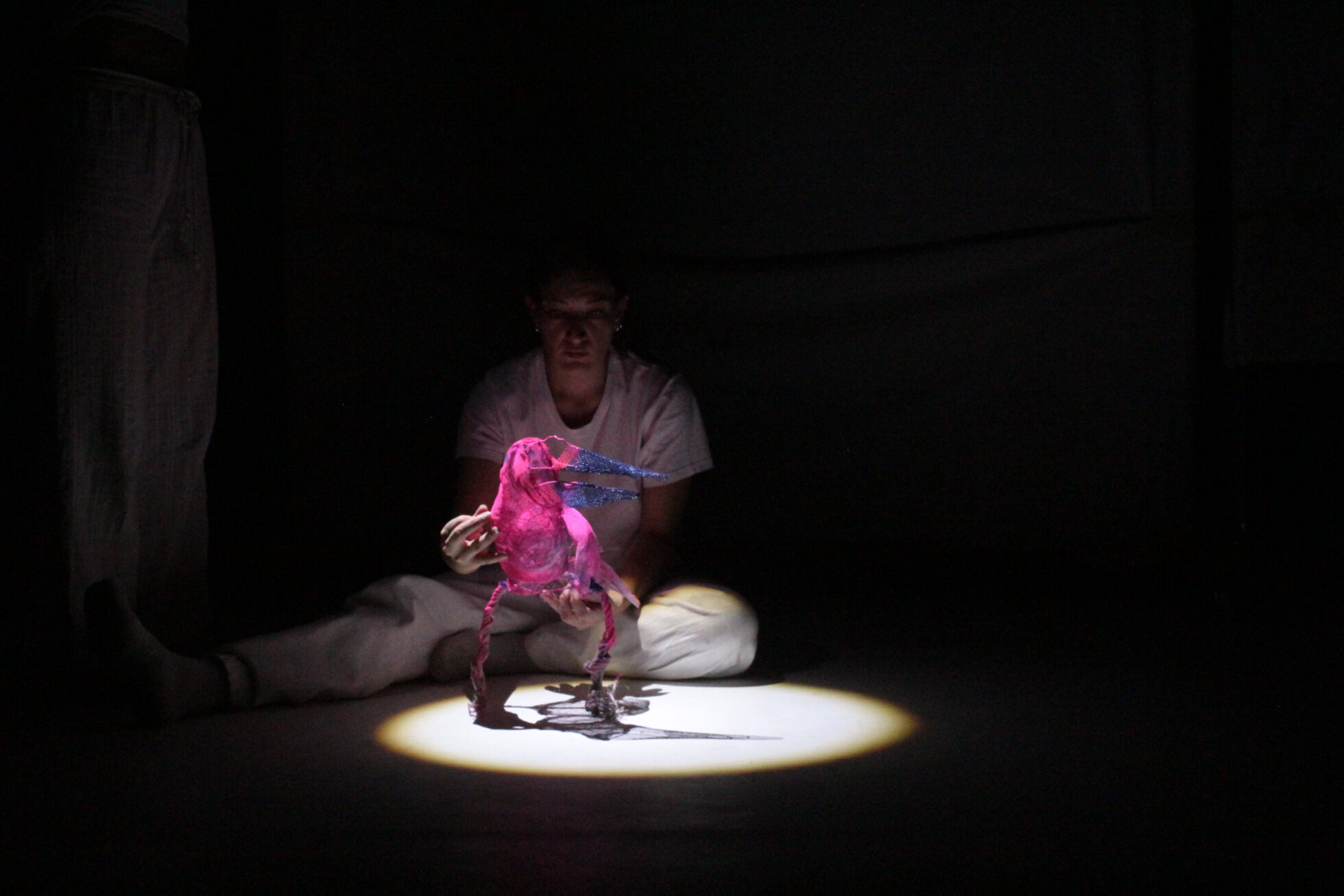 attrice in scena con marionetta a forma di uccello color rosa