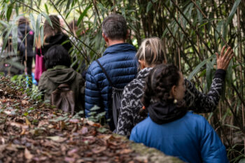 bambini e genitori immersi nella natura durante uno spettacolo teatrale