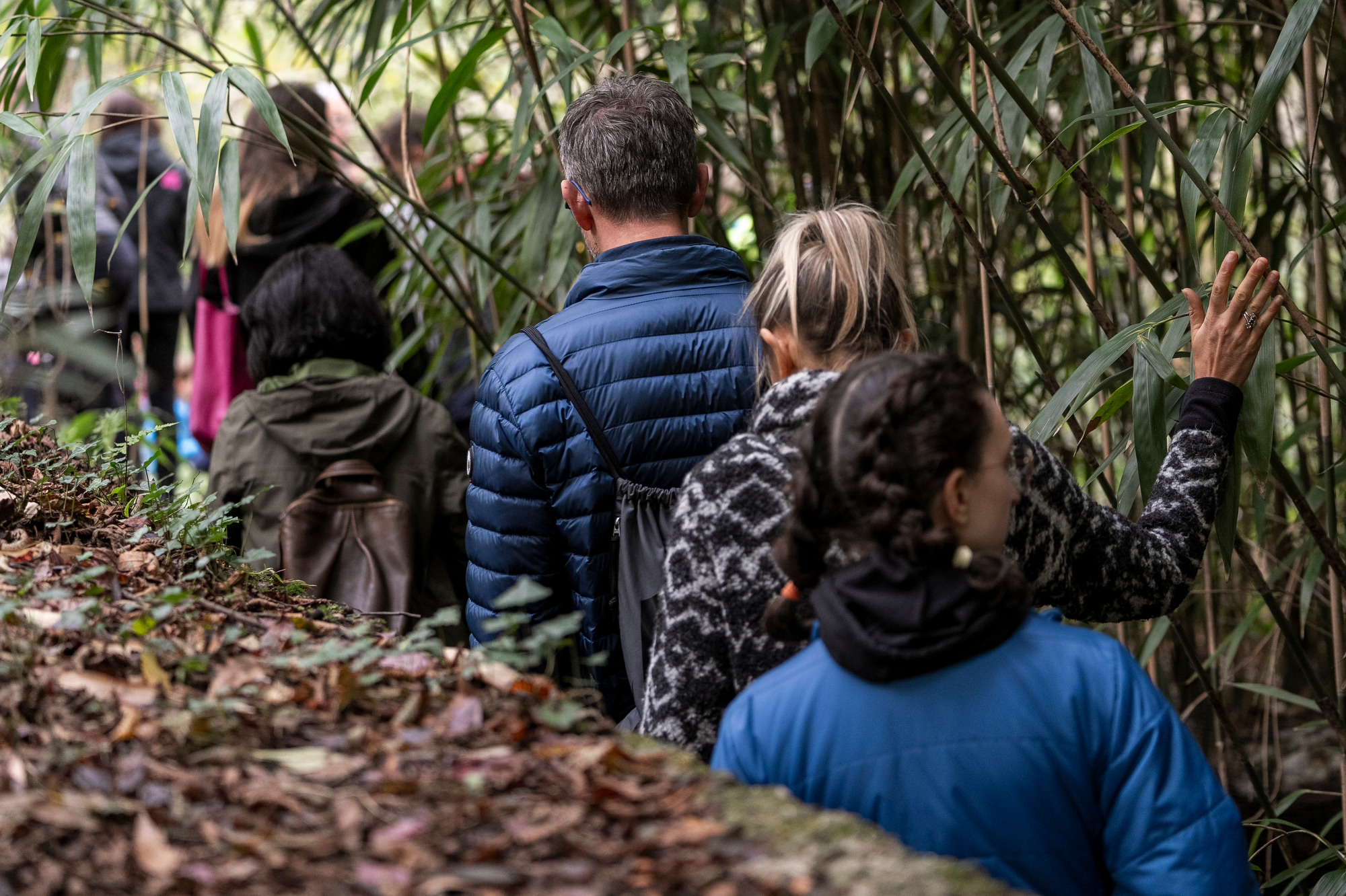 bambini e genitori immersi nella natura durante uno spettacolo teatrale